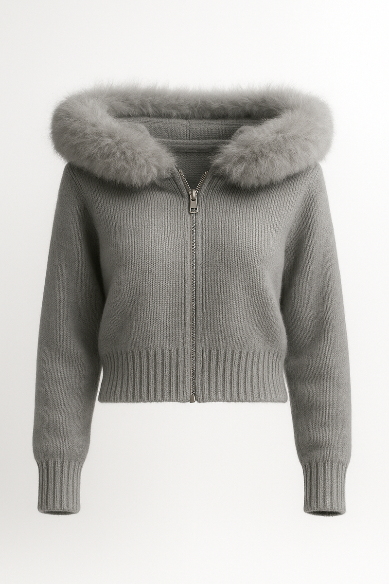 Ellison Faux Trim Hoodie