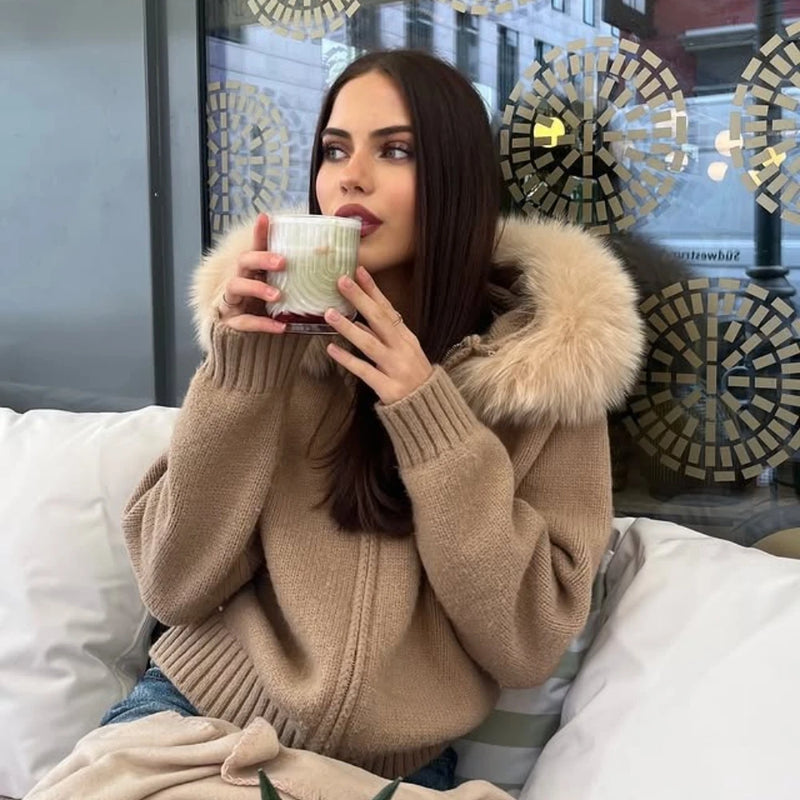 Ellison Faux Trim Hoodie